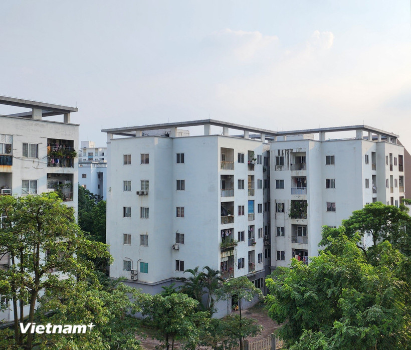 Ảnh minh họa. (Nguồn: Vietnam+)