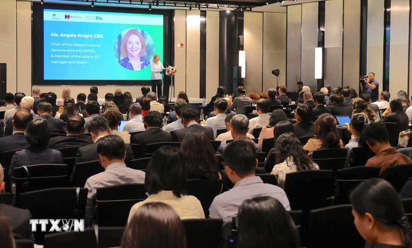 Quang cảnh hội thảo. (Ảnh: Hứa Chung/TTXVN)