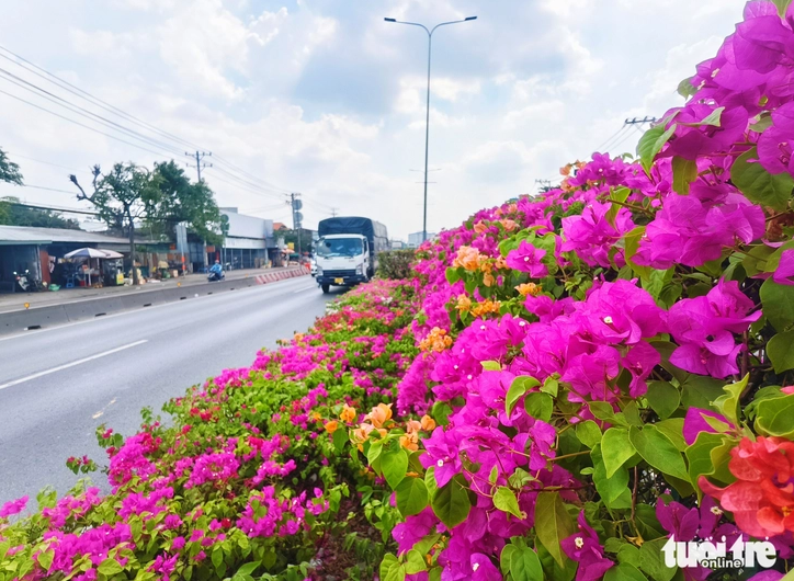 Screenshot 2026-04-01 094259