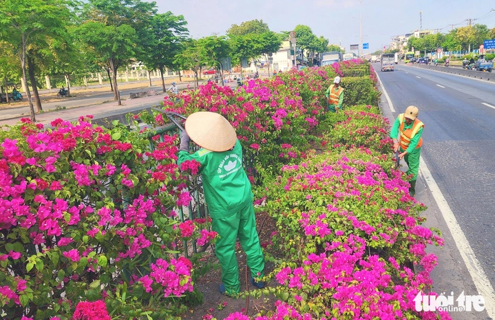 Screenshot 2026-04-01 094254