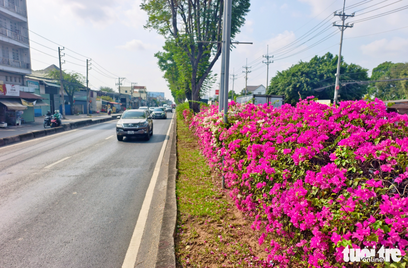 Screenshot 2026-04-01 094306