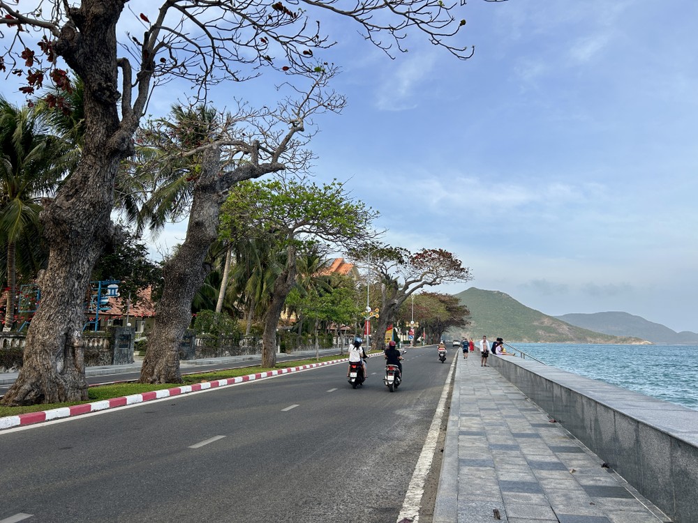 Xây dựng Côn Đảo trở thành đảo xanh, thông minh, đáng sống. Ảnh: HẢI DƯƠNG con-dao-xanh-hoa-1.jpg