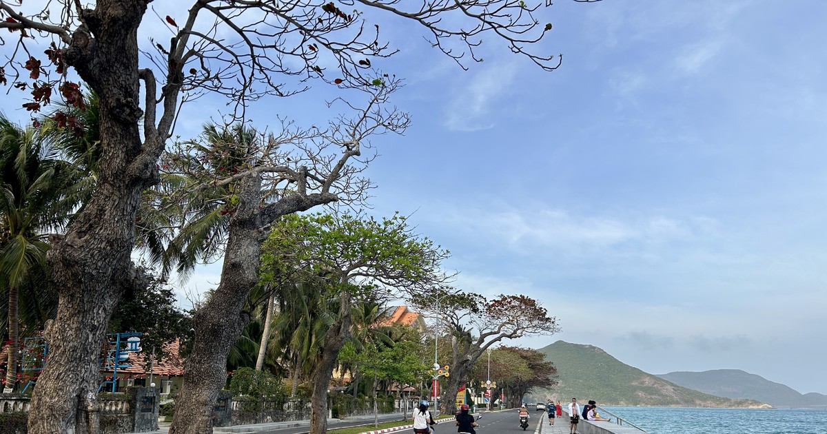 TP.HCM: Sắp có chính sách hỗ trợ học sinh, sinh viên Côn Đảo học tại đất liền