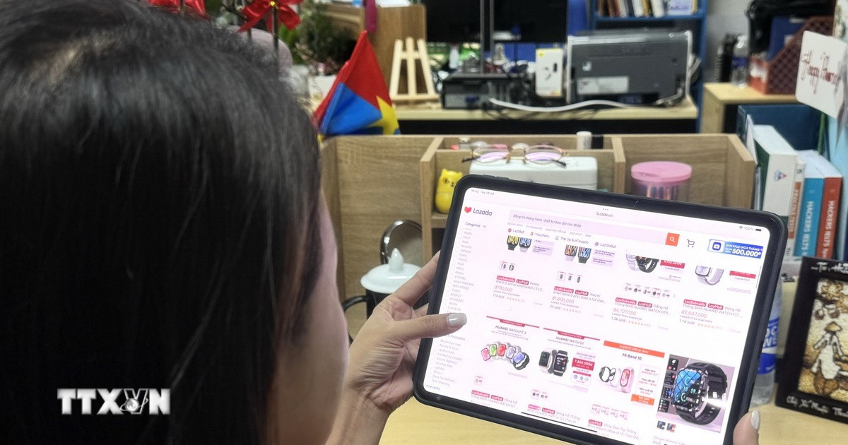 Thành phố Hồ Chí Minh chính thức vận hành sàn giao dịch thịt lợn từ cuối tháng 4