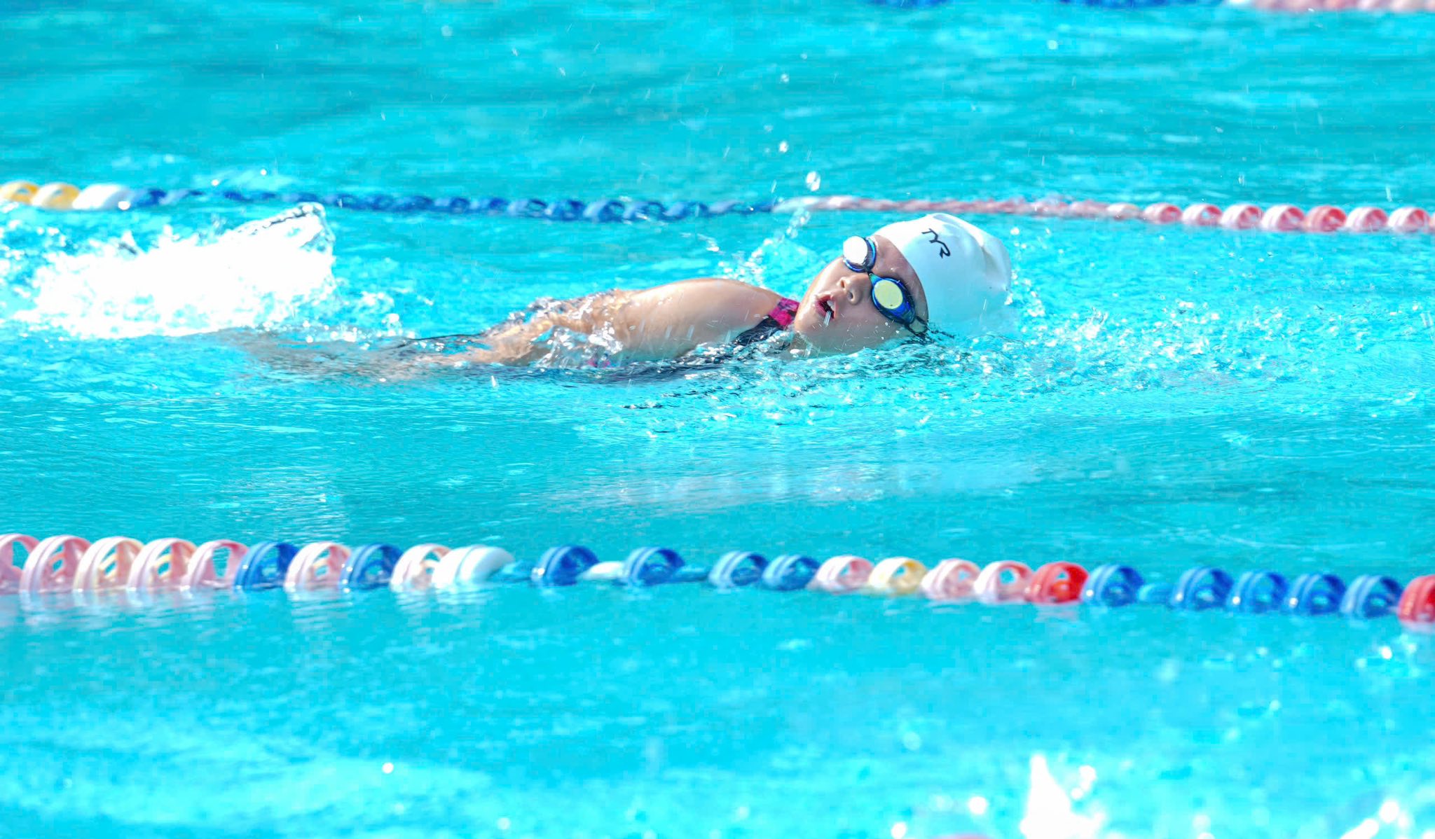 Đại hội Thể dục thể thao - Ảnh 2.