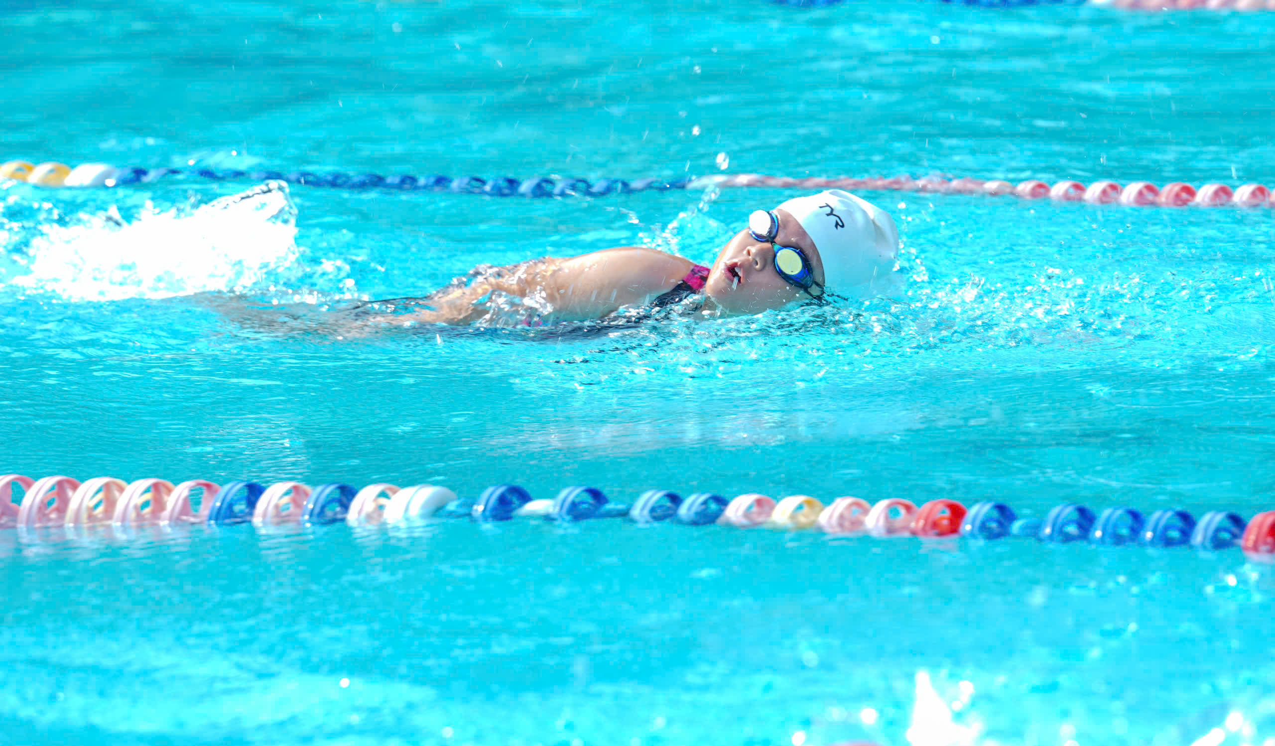 Khai mạc Giải bơi chào mừng Đại hội Thể dục Thể thao TP.HCM - Ảnh 1.