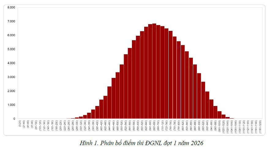 đánh giá năng lực - Ảnh 3.