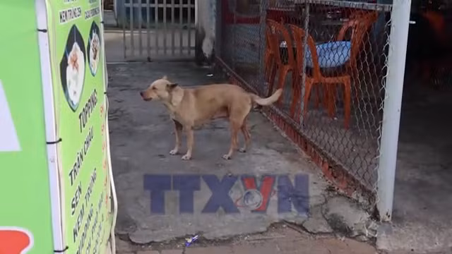 Ảnh minh họa. (Nguồn: TTXVN)