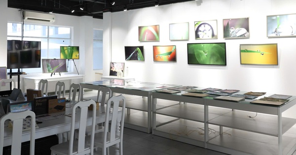 ĐH Kinh tế TPHCM ra mắt không gian học tập đắm chìm