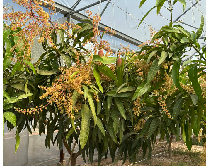 Screenshot 2026-04-29 090515