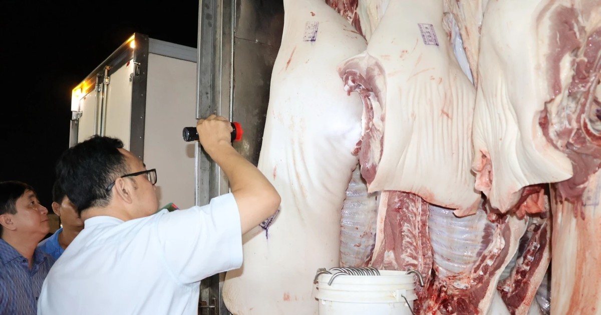 Chủ tịch TP.HCM yêu cầu giám sát dịch tả heo châu Phi đến tận cơ sở