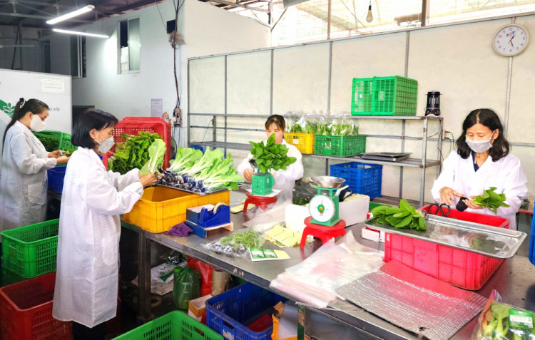 Nhân lực chất lượng cao mở lối cho nông nghiệp hiện đại - Báo Phụ Nữ