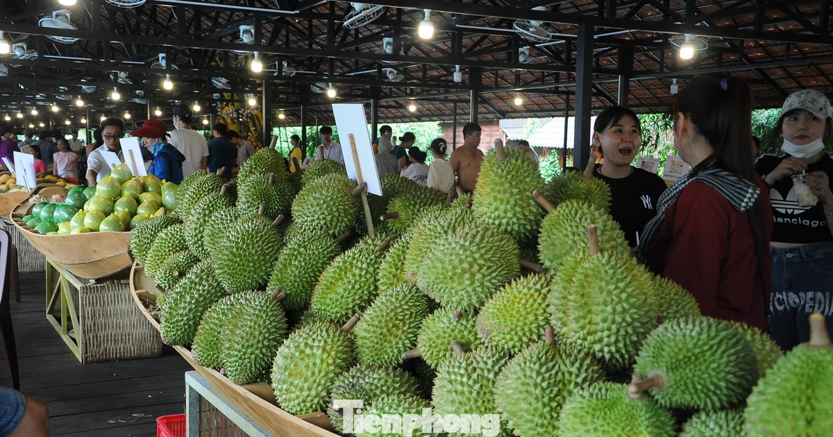 Tuần lễ trái cây miệt vườn quy mô lớn sắp diễn ra tại TPHCM