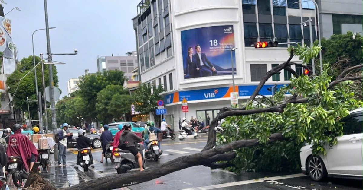 TP.HCM thí điểm công chức làm việc tại nhà