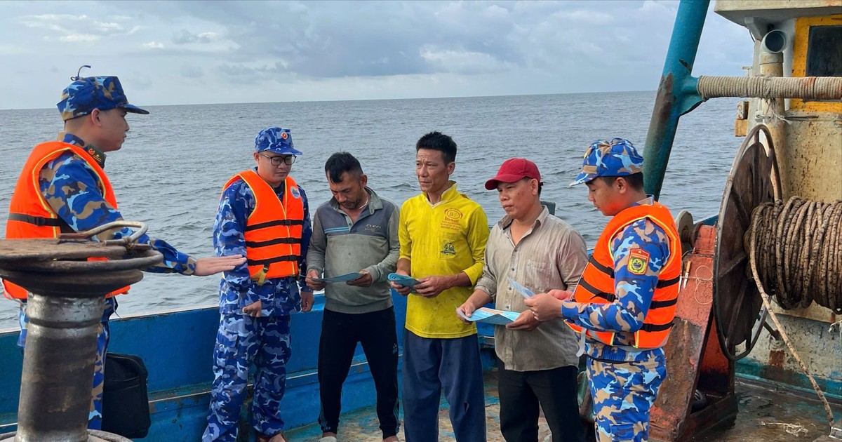 TPHCM: 6 tháng đầu năm, không có tàu cá vi phạm vùng biển nước ngoài