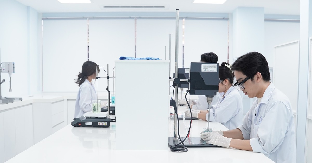 TP.HCM 'trải thảm đỏ' thu hút chuyên gia, kiến trúc sư trưởng chủ trì các dự án trọng điểm