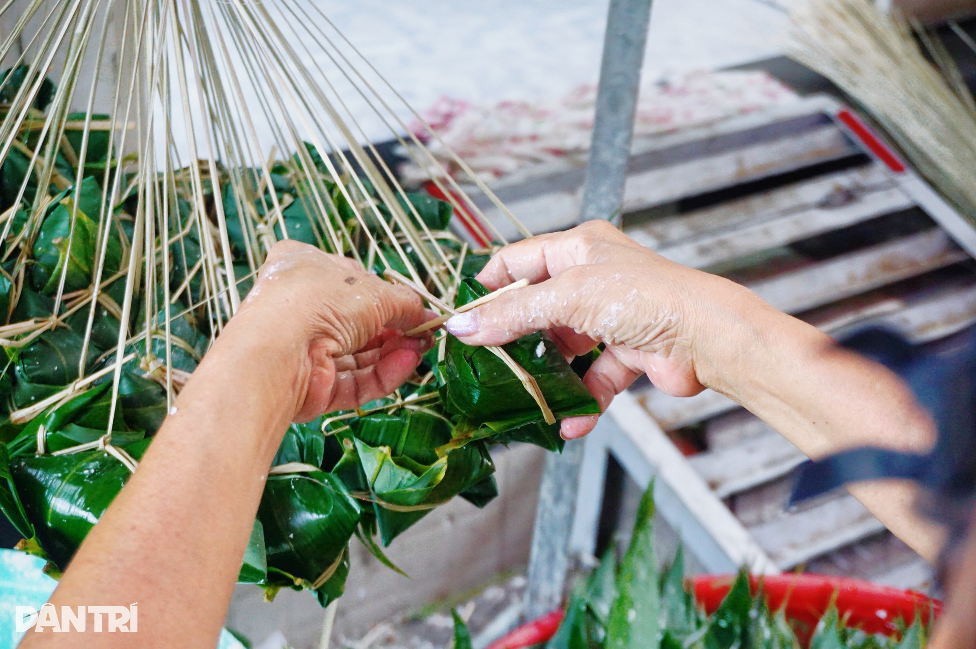 Tổng hợp thông tin báo chí liên quan đến TP. Hồ Chí Minh ngày 19/6/2026