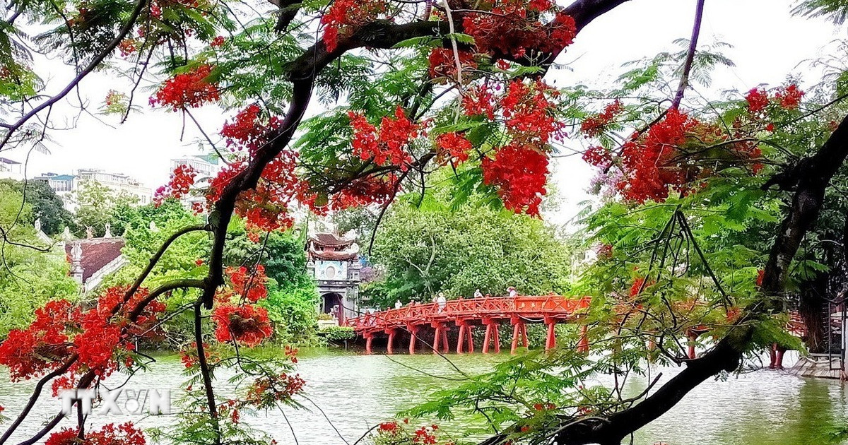 29 luật quan trọng bắt đầu có hiệu lực thi hành kể từ ngày 1/7 sắp tới