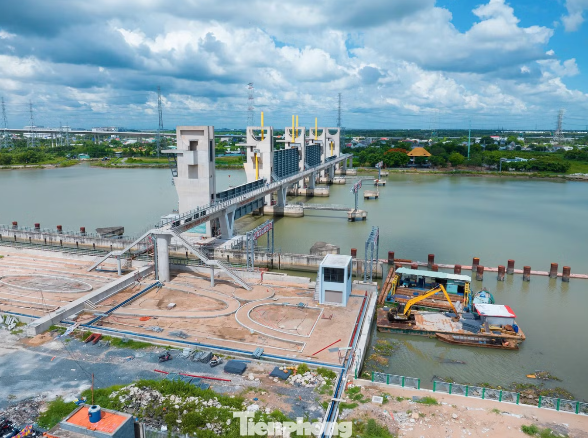 Tổng hợp thông tin báo chí liên quan đến TP. Hồ Chí Minh ngày 2/7/2026