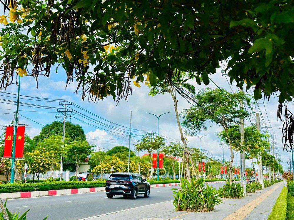 ROP CO HOA 27 - Tuyến đường trung tâm xã Hồ Tràm rực cờ hoa chào mừng kỷ niệm 50 năm Thành phố Sài Gòn - Gia Định vinh dự mang tên Chủ tịch Hồ Chí Minh.jpg