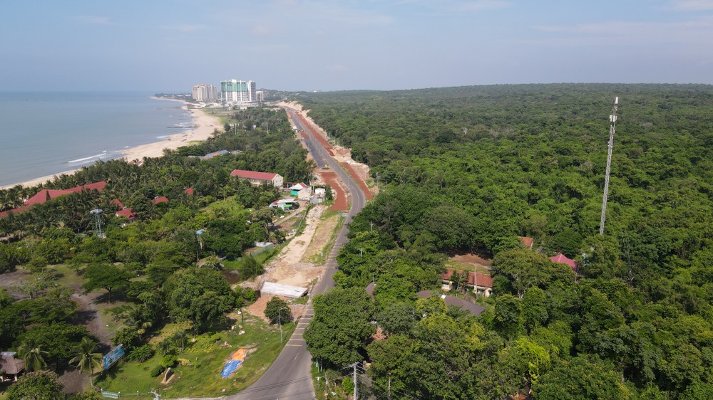 Rừng ven biển. Ảnh: THÀNH HUY DJI_0877.JPG
