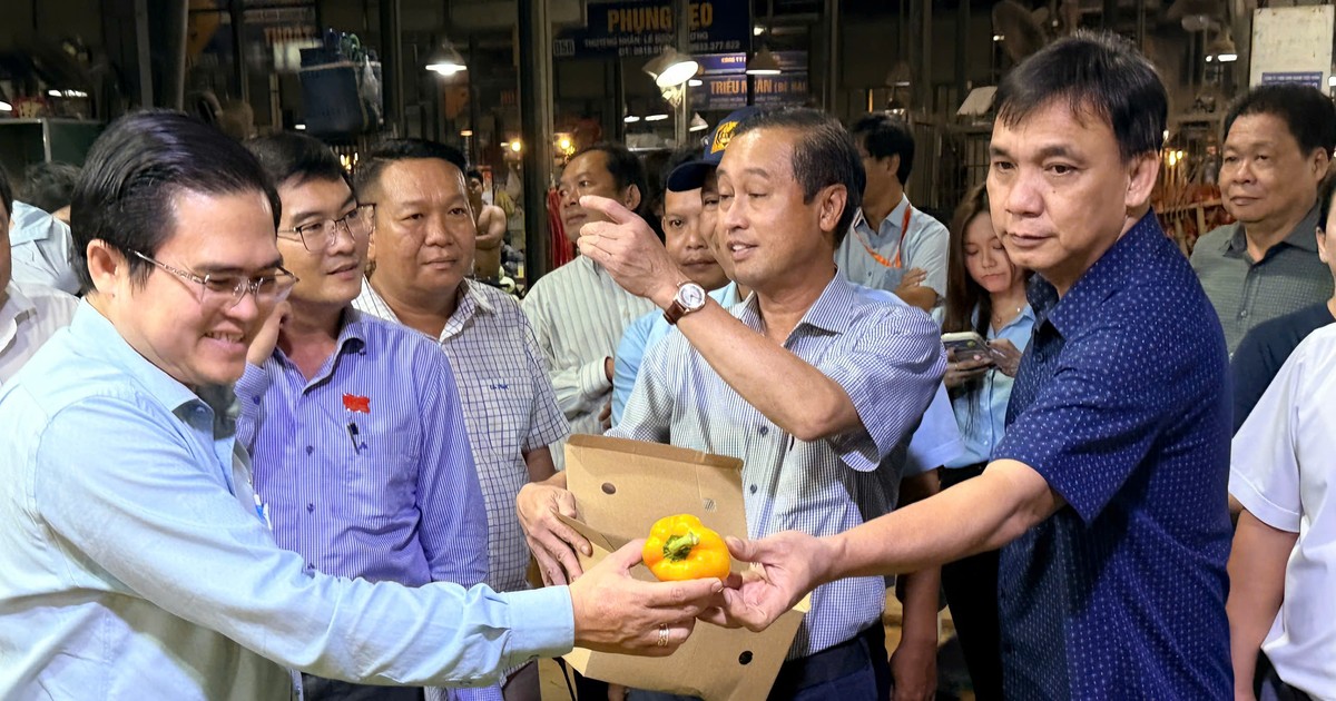 Thường trực HĐND TPHCM khảo sát ATTP tại chợ đầu mối Bình Điền