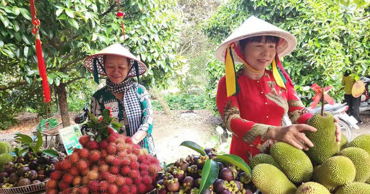 Vườn chuyên canh, vườn du lịch sinh thái ở TP.HCM được bồi thường 100% đơn giá