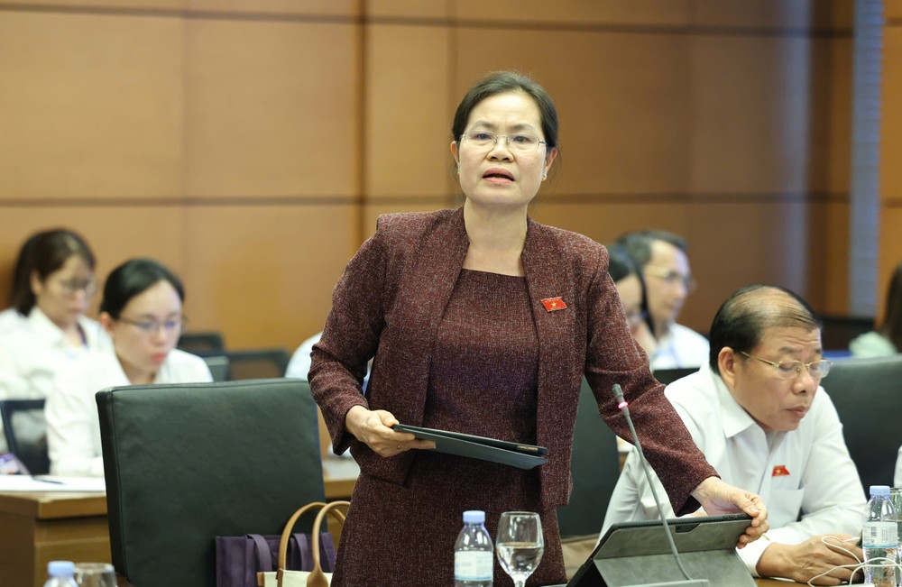 ĐB Nguyễn Thị Hồng Hạnh, Giám đốc Sở Tư pháp TPHCM. Ảnh: QUANG PHÚC 1.jpg