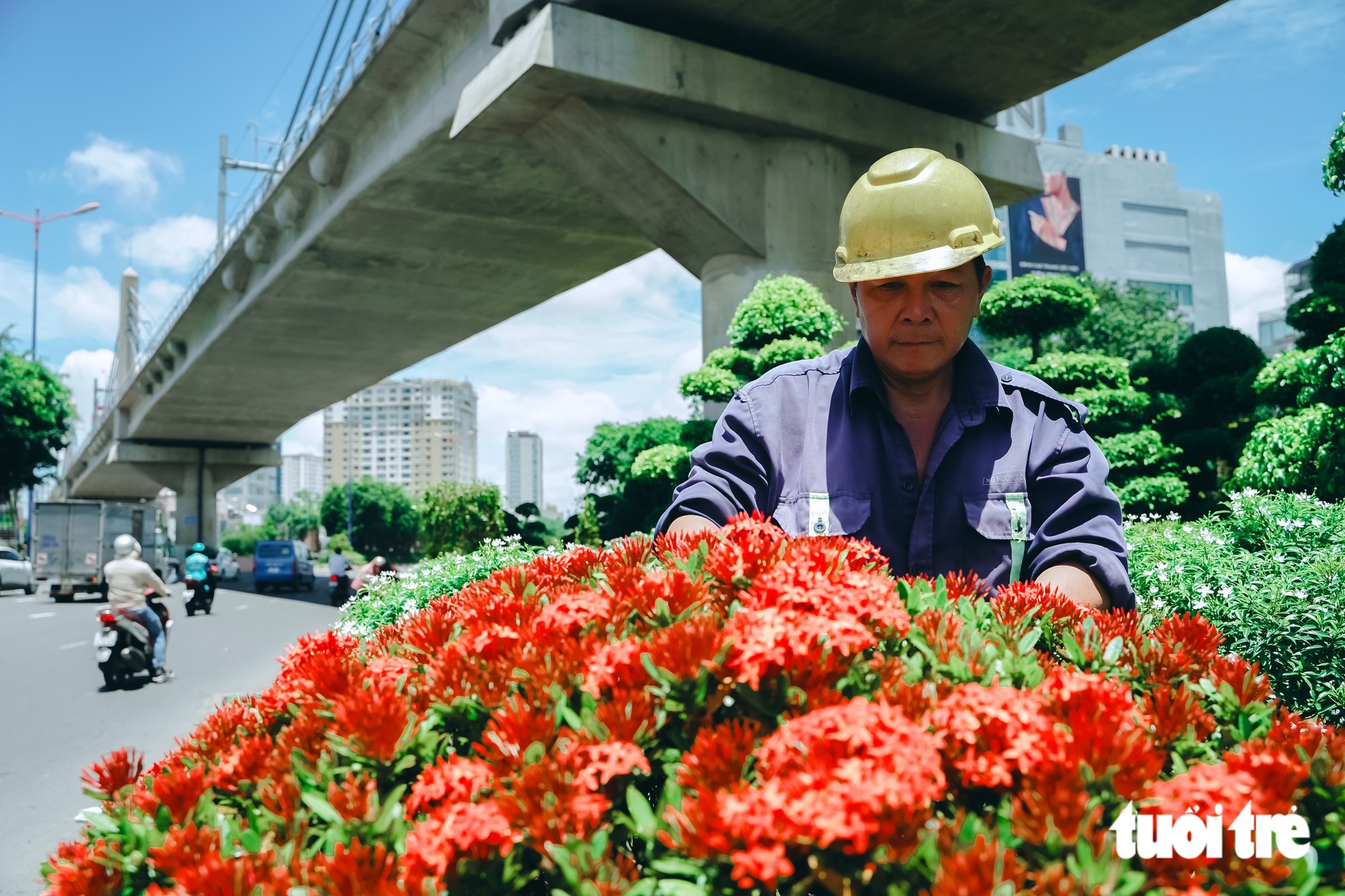 TP.HCM chỉnh trang các cửa ngõ, trạm chờ xe buýt theo hướng mang 'khu vườn' vào đô thị - Ảnh 3.