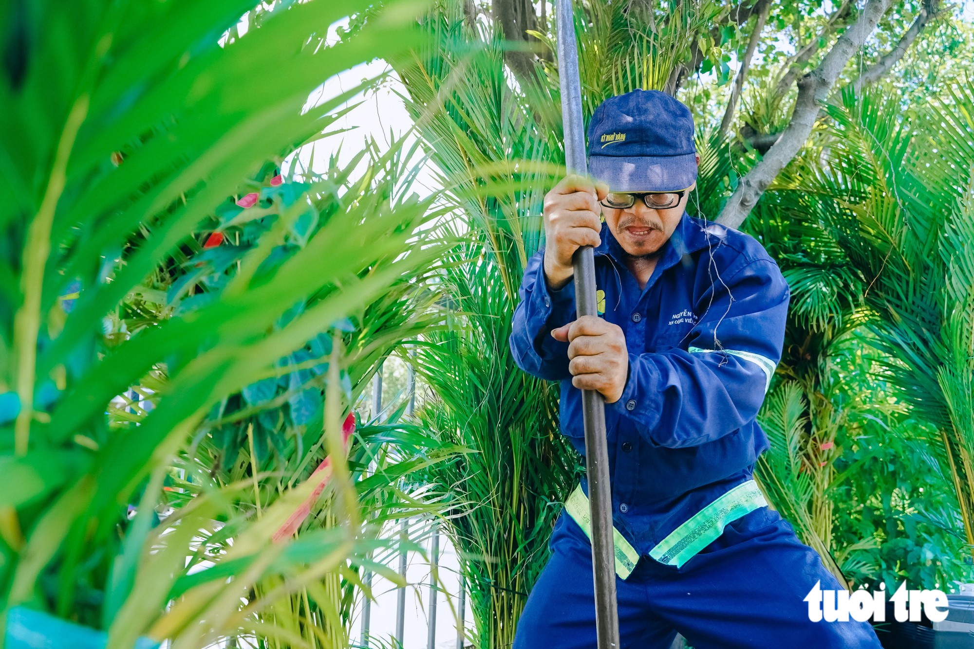 TP.HCM chỉnh trang các cửa ngõ heo hướng mang 'khu vườn' vào đô thị - Ảnh 5.