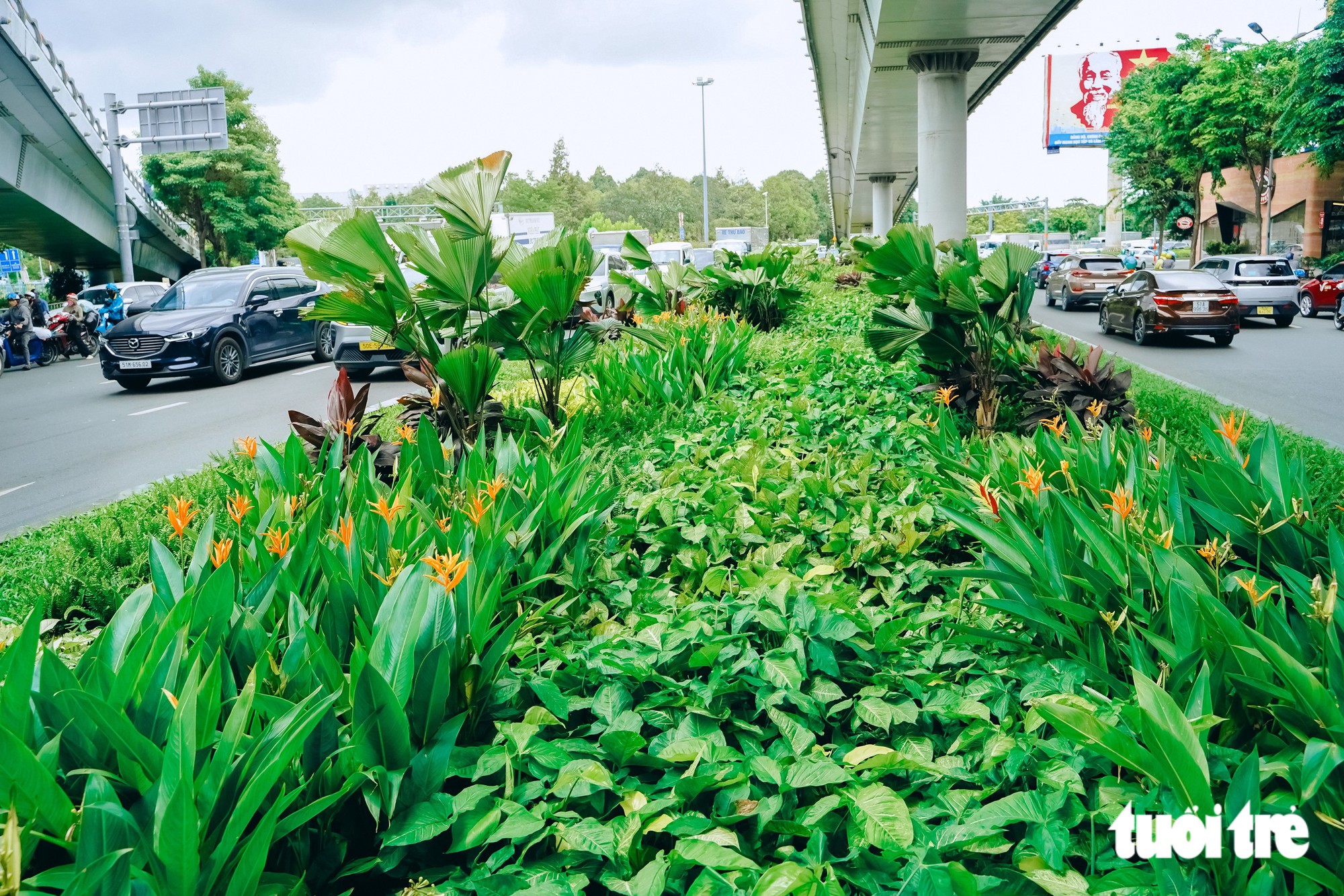 TP.HCM chỉnh trang các cửa ngõ, trạm chờ xe buýt theo hướng mang 'khu vườn' vào đô thị - Ảnh 19.