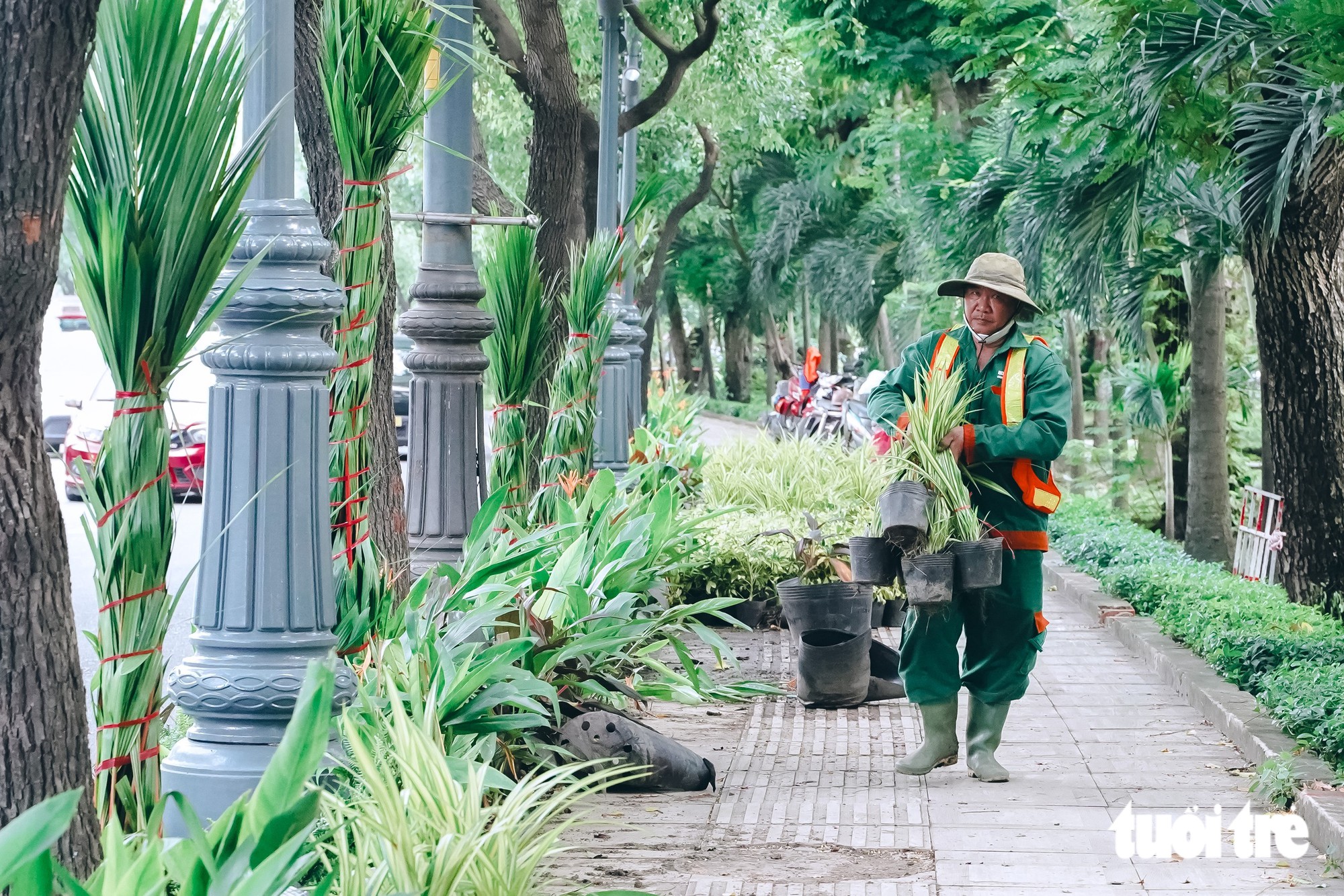 TP.HCM chỉnh trang các cửa ngõ, trạm chờ xe buýt theo hướng mang 'khu vườn' vào đô thị - Ảnh 23.