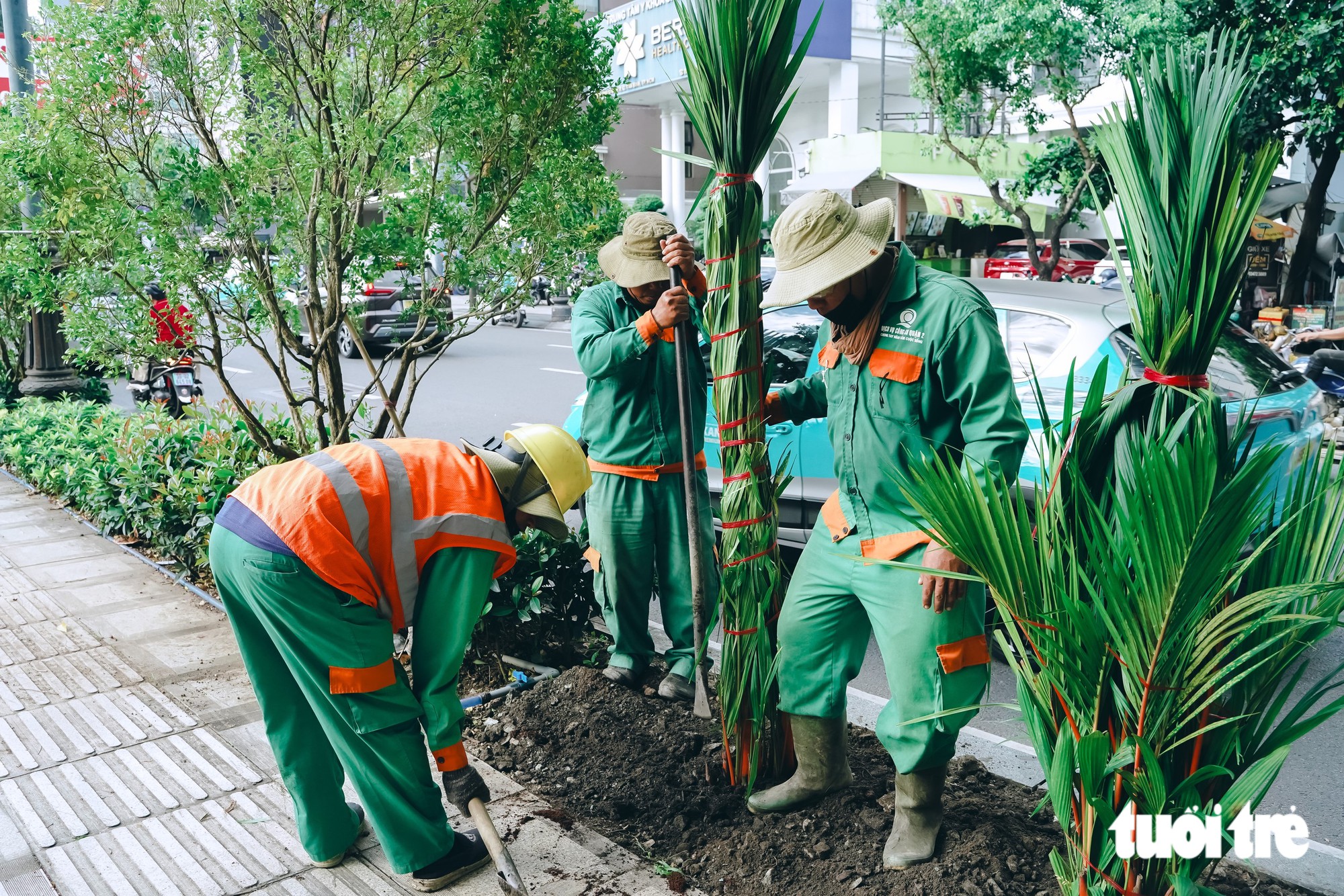 TP.HCM chỉnh trang các cửa ngõ, trạm chờ xe buýt theo hướng mang 'khu vườn' vào đô thị - Ảnh 25.