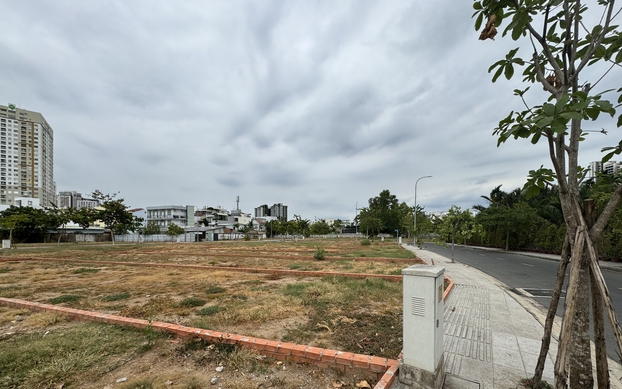 images2.thanhnien.vn-zoom-622_389-528068263637045248-2026-8-31-_dat-nen-phan-lo-3-17881363645971696450395-0-0-1250-2000-crop-1788136375266899464788.jpg