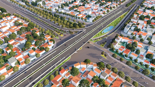 TP.HCM di dời gần 190 cây xanh, chuẩn bị thi công nút giao Vành đai 2- Ảnh 1.