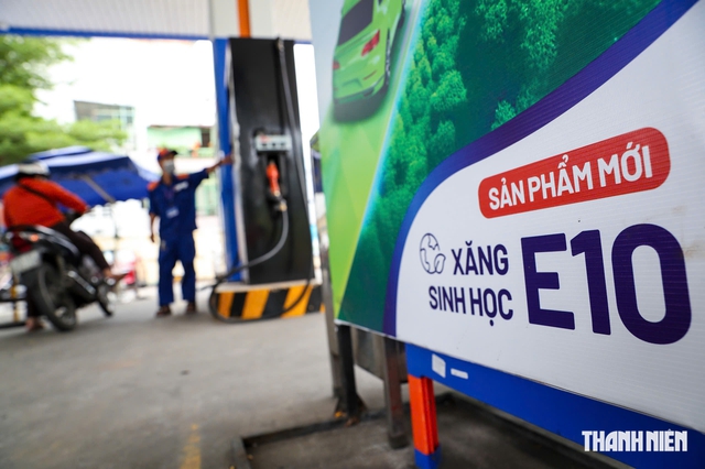 Tổng hợp thông tin báo chí liên quan đến TP.HCM ngày 25/9/2026
