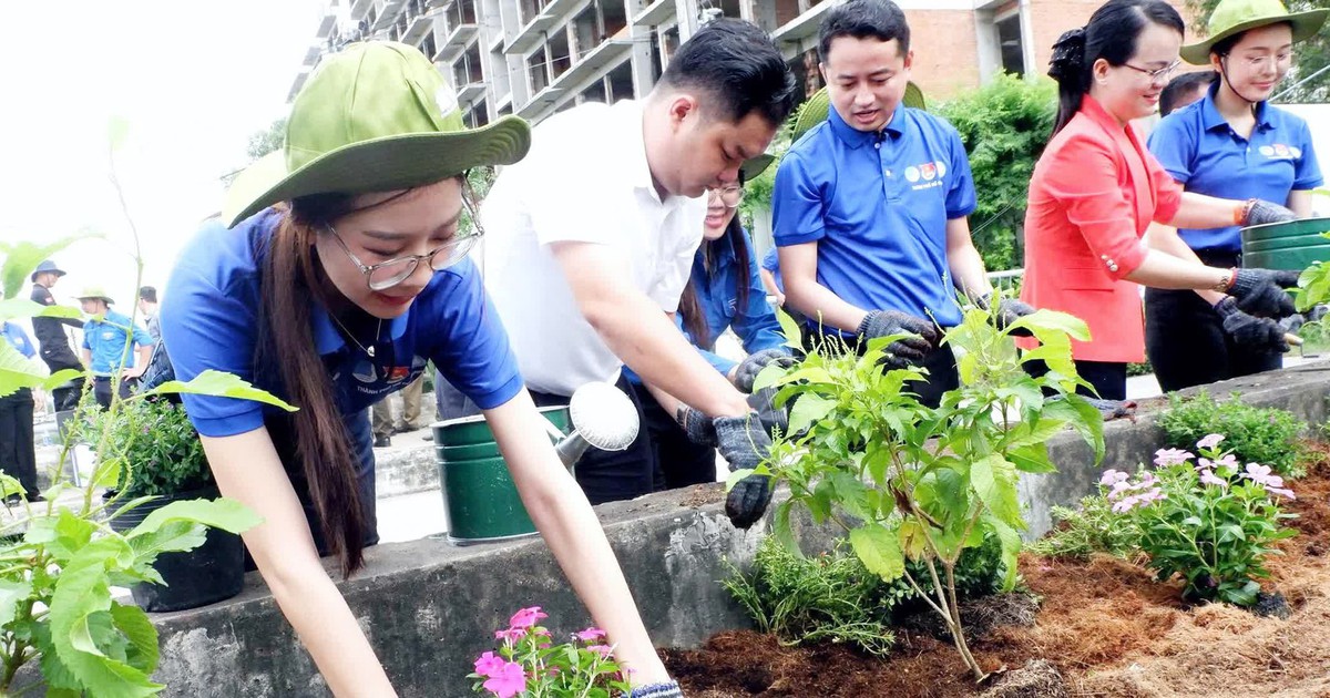 Tổng hợp thông tin báo chí liên quan đến TP.HCM ngày 2/10/2026