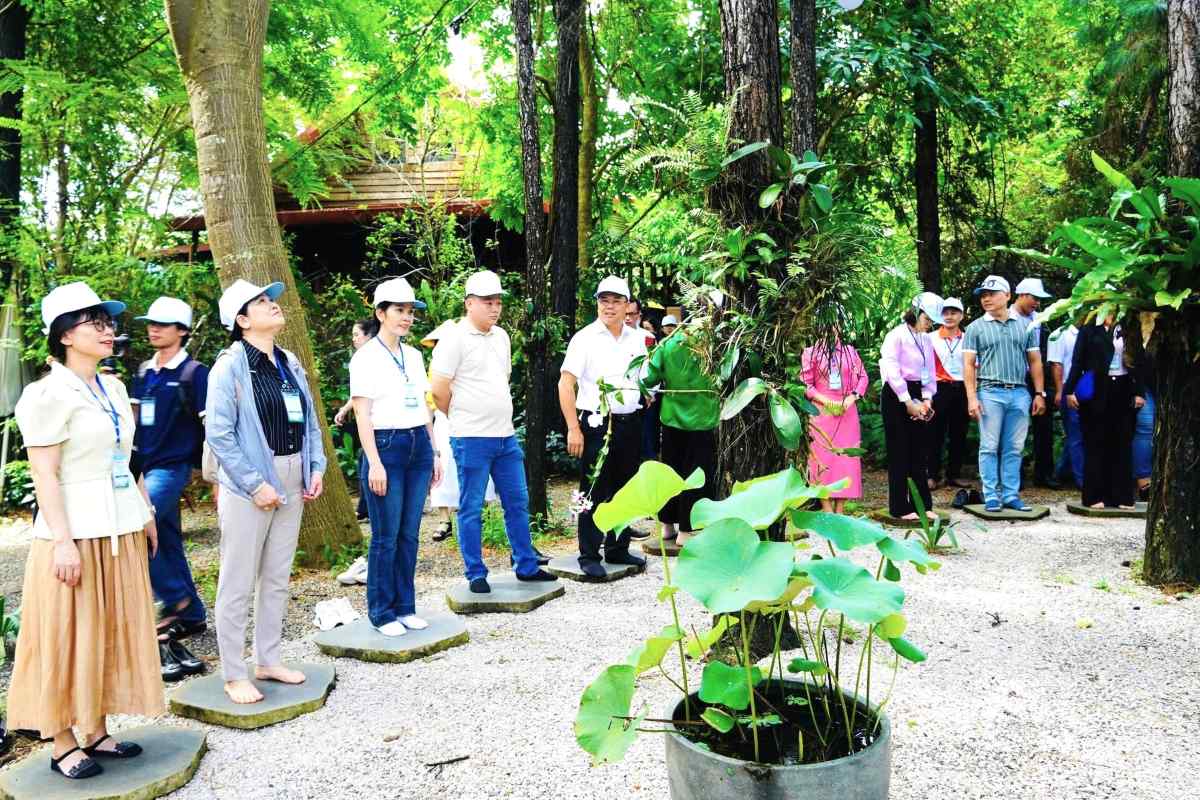 TPHCM kết nối phát triển du lịch nông thôn, trải nghiệm nông nghiệp