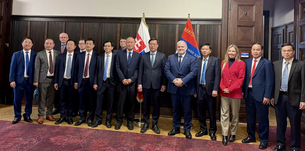 Đoàn đại biểu TPHCM tại buổi làm việc với Quốc vụ khanh Bộ Văn hoá Slovakia. Ảnh: MINH QUẾ IMG_5959.jpeg