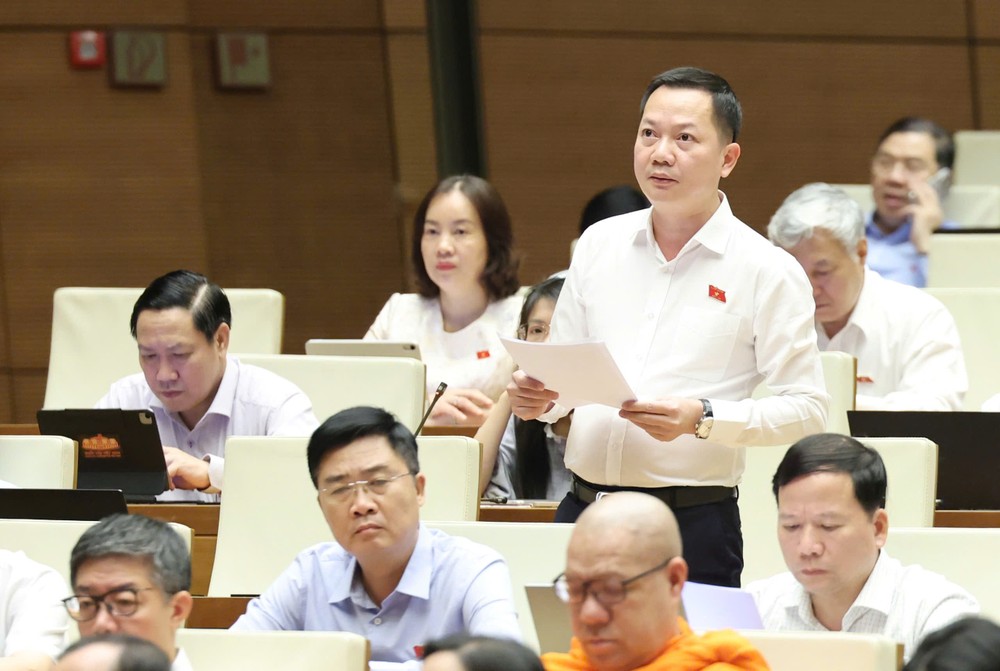 ĐB Trịnh Xuân An (Đồng Nai). Ảnh: QUANG PHÚC AN.jpg