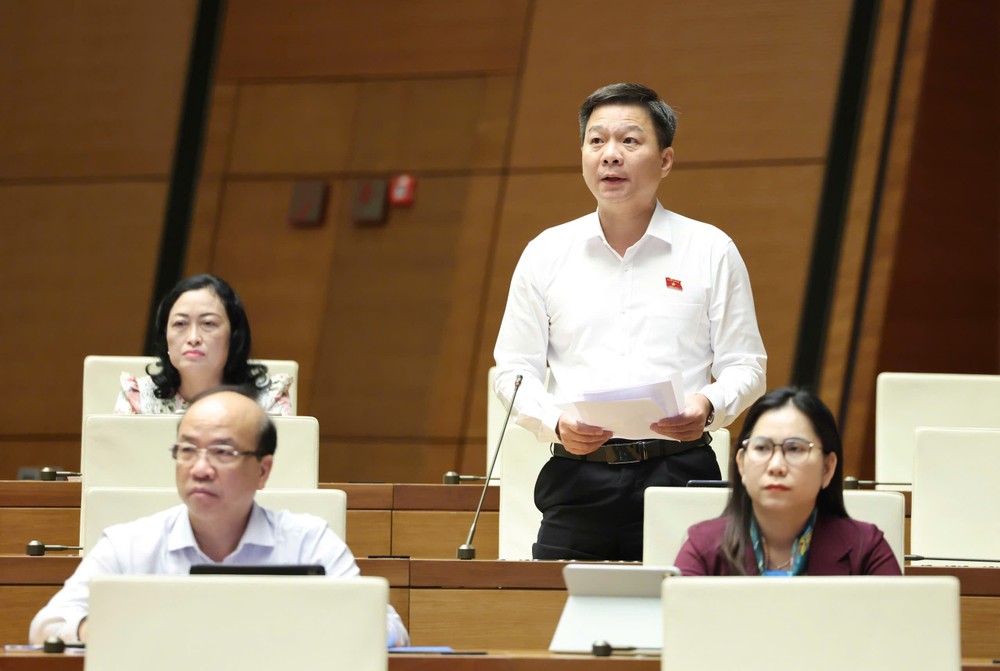 ĐB Nguyễn Bình Tân (Cà Mau). Ảnh: QUANG PHÚC Nguyễn Bình Tân.jpg