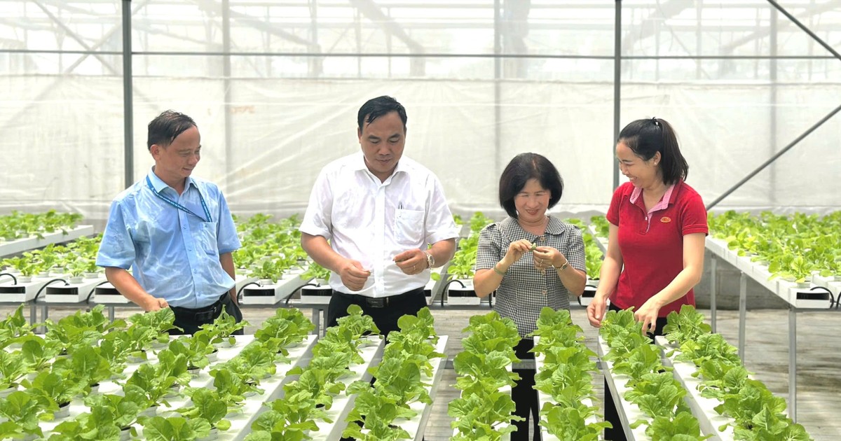 Khi chính sách cho khoa học - công nghệ được “trao tay”